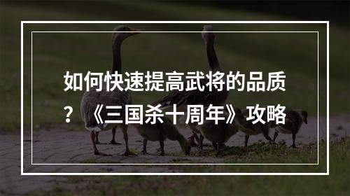 如何快速提高武将的品质？《三国杀十周年》攻略