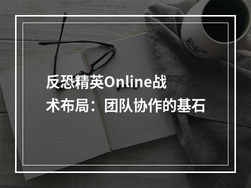 反恐精英Online战术布局：团队协作的基石