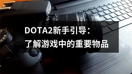 DOTA2新手引导：了解游戏中的重要物品