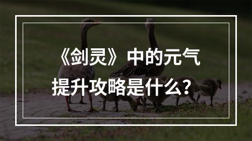 《剑灵》中的元气提升攻略是什么？