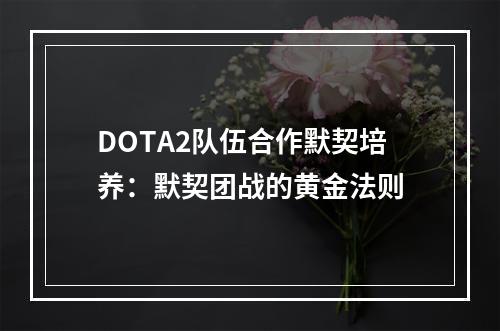 DOTA2队伍合作默契培养：默契团战的黄金法则