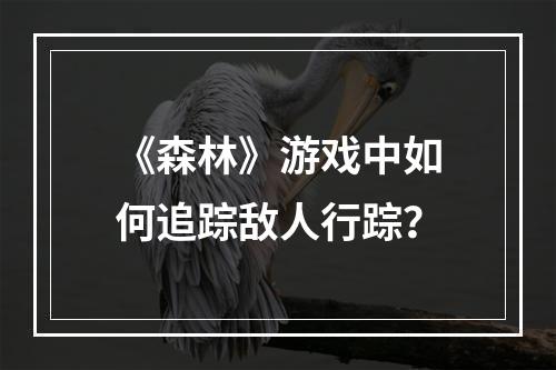 《森林》游戏中如何追踪敌人行踪？