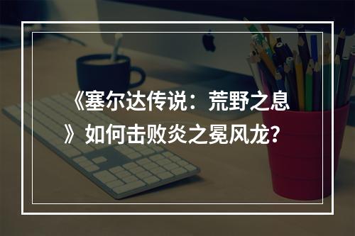 《塞尔达传说：荒野之息》如何击败炎之冕风龙？