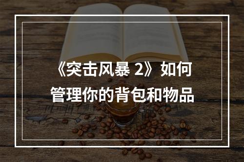 《突击风暴 2》如何管理你的背包和物品