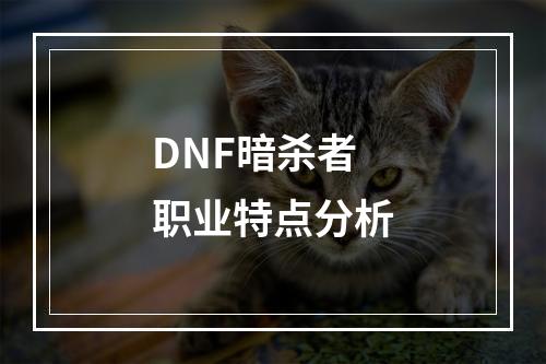 DNF暗杀者职业特点分析