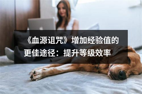 《血源诅咒》增加经验值的更佳途径：提升等级效率