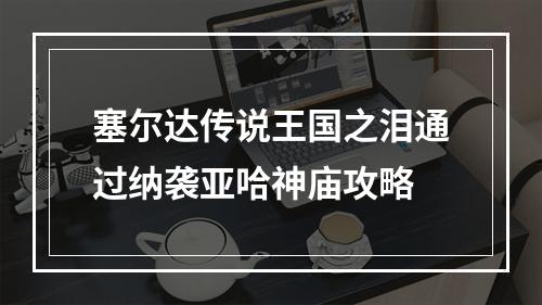 塞尔达传说王国之泪通过纳袭亚哈神庙攻略