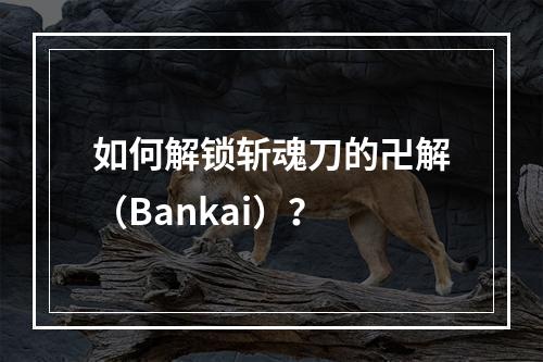 如何解锁斩魂刀的卍解（Bankai）？