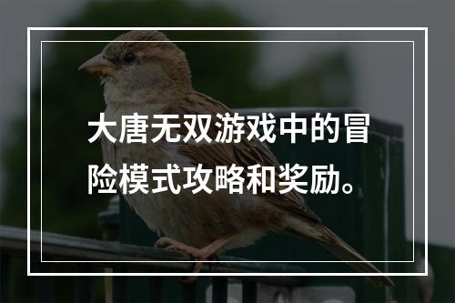 大唐无双游戏中的冒险模式攻略和奖励。