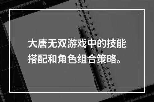 大唐无双游戏中的技能搭配和角色组合策略。