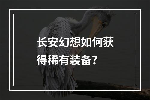 长安幻想如何获得稀有装备？