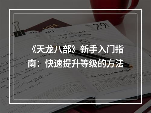 《天龙八部》新手入门指南：快速提升等级的方法