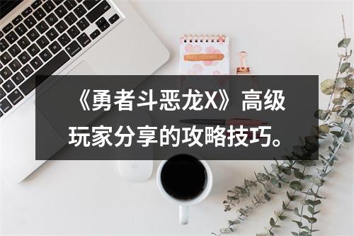 《勇者斗恶龙X》高级玩家分享的攻略技巧。