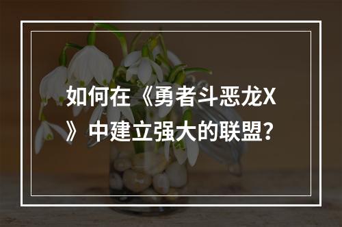 如何在《勇者斗恶龙X》中建立强大的联盟？