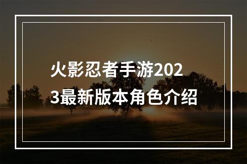 火影忍者手游2023最新版本角色介绍