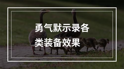 勇气默示录各类装备效果