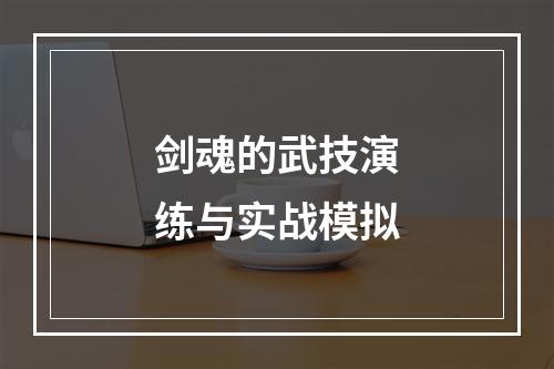 剑魂的武技演练与实战模拟