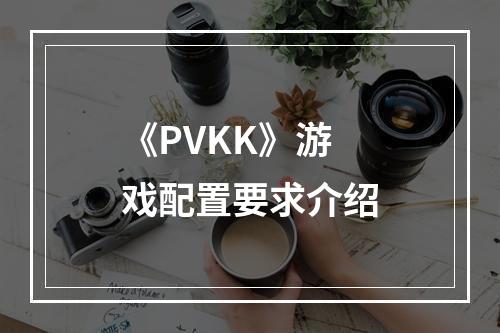 《PVKK》游戏配置要求介绍