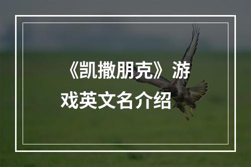 《凯撒朋克》游戏英文名介绍