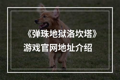 《弹珠地狱洛坎塔》游戏官网地址介绍