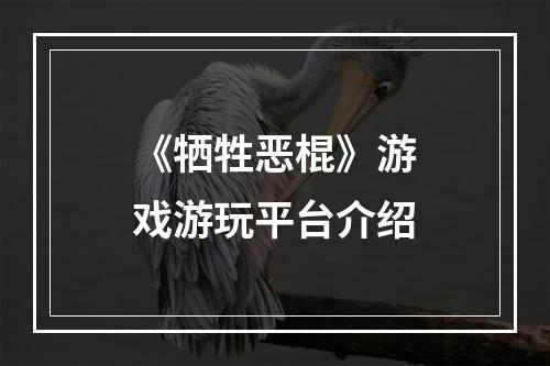 《牺牲恶棍》游戏游玩平台介绍