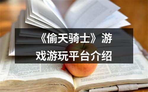 《偷天骑士》游戏游玩平台介绍