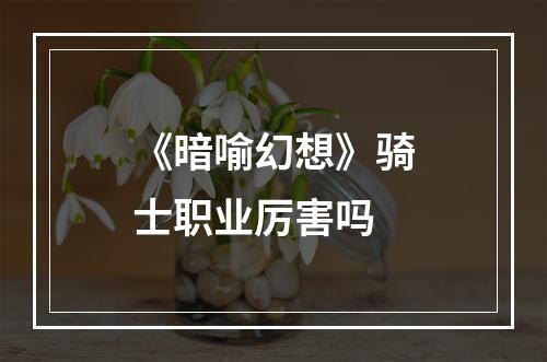 《暗喻幻想》骑士职业厉害吗