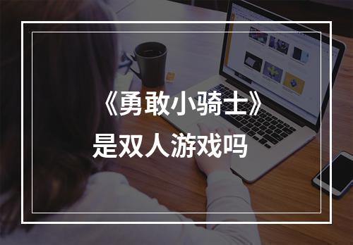 《勇敢小骑士》是双人游戏吗