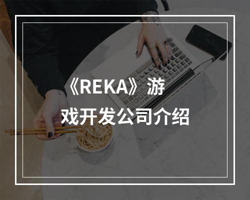 《REKA》游戏开发公司介绍