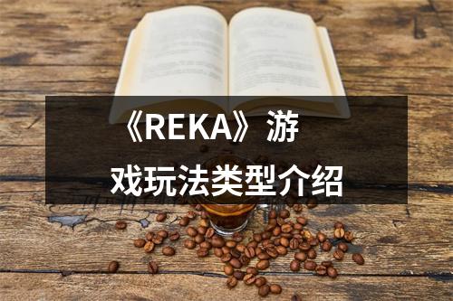 《REKA》游戏玩法类型介绍