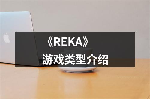 《REKA》游戏类型介绍