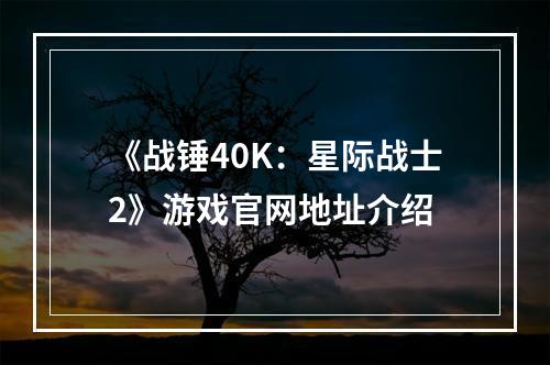 《战锤40K：星际战士2》游戏官网地址介绍