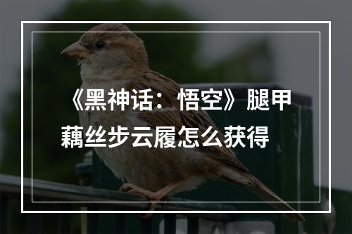 《黑神话：悟空》腿甲藕丝步云履怎么获得