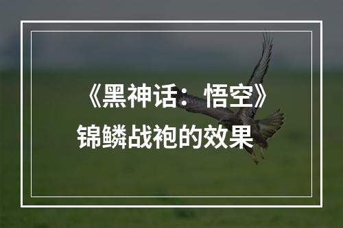 《黑神话：悟空》锦鳞战袍的效果