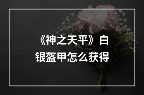 《神之天平》白银盔甲怎么获得