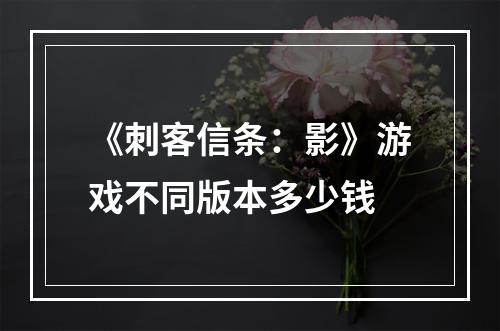 《刺客信条：影》游戏不同版本多少钱