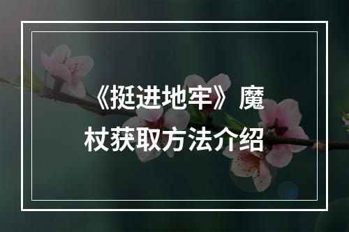 《挺进地牢》魔杖获取方法介绍