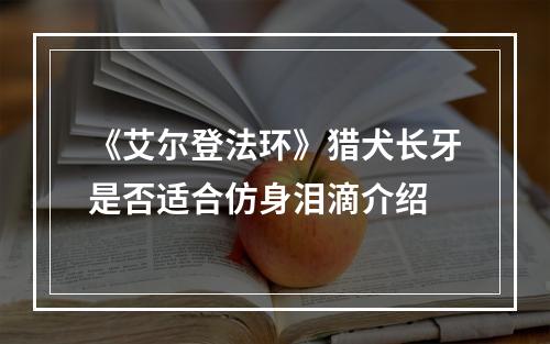 《艾尔登法环》猎犬长牙是否适合仿身泪滴介绍