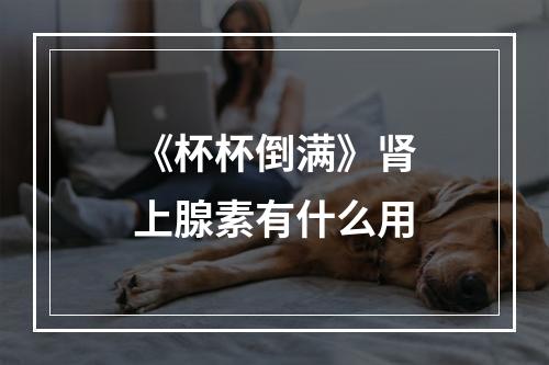 《杯杯倒满》肾上腺素有什么用