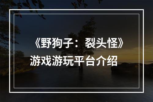 《野狗子：裂头怪》游戏游玩平台介绍