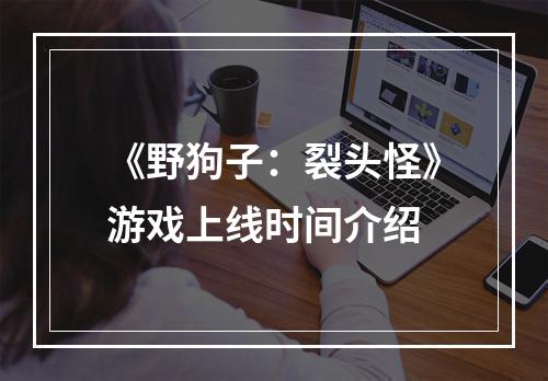 《野狗子：裂头怪》游戏上线时间介绍