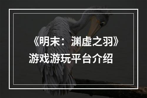 《明末：渊虚之羽》游戏游玩平台介绍