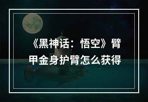 《黑神话：悟空》臂甲金身护臂怎么获得