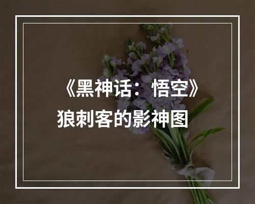 《黑神话：悟空》狼刺客的影神图