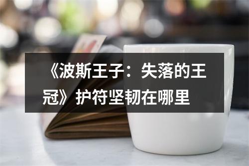 《波斯王子：失落的王冠》护符坚韧在哪里