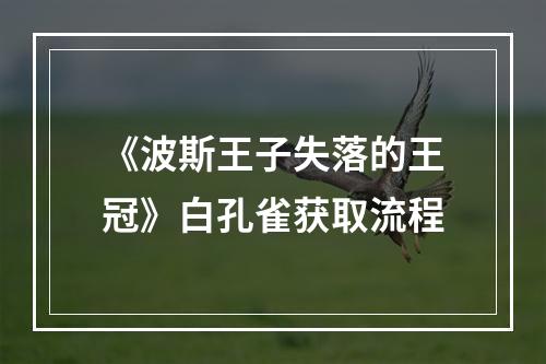 《波斯王子失落的王冠》白孔雀获取流程