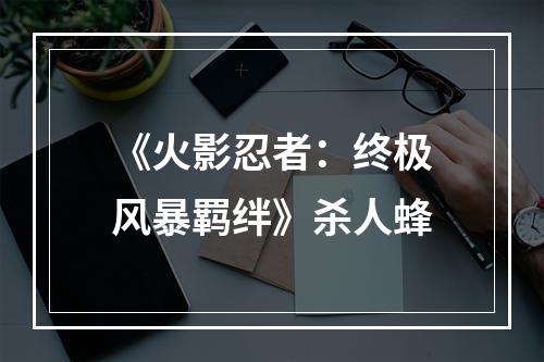 《火影忍者：终极风暴羁绊》杀人蜂