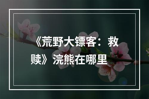 《荒野大镖客：救赎》浣熊在哪里