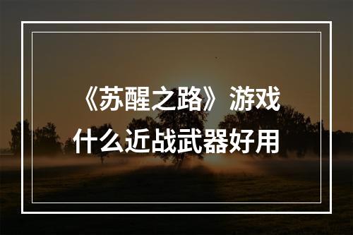 《苏醒之路》游戏什么近战武器好用