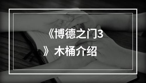 《博德之门3》木桶介绍